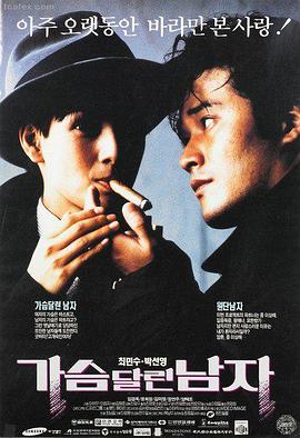 前度电影 午后阳光